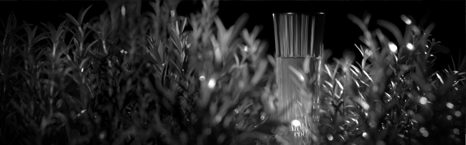 Erstellung von Präsentationen