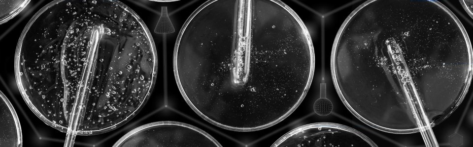 Prezentacja Power Point